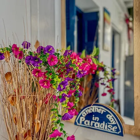 Daire Mykonos Townhouse Megali Ammos (Mykonos)